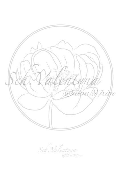 876467 фото