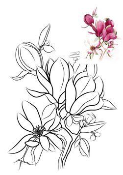 510982 фото