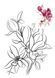510982 фото 1