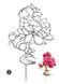 722221 фото 1