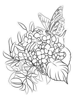 234444 фото