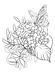 234444 фото 1