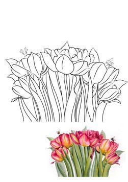 546778 фото