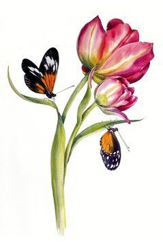 333455 фото